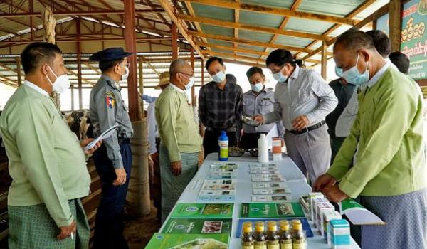 မကွေးတိုင်းဒေသကြီးစီမံအုပ်ချုပ်ရေးကောင်စီ ဥက္ကဋ္ဌ၊ ရေစကြိုမြို့နယ်အတွင်း ဒေသဖွံ့ဖြိုးရေးလုပ်ငန်းများ ကွင်းဆင်းကြည့်ရှု