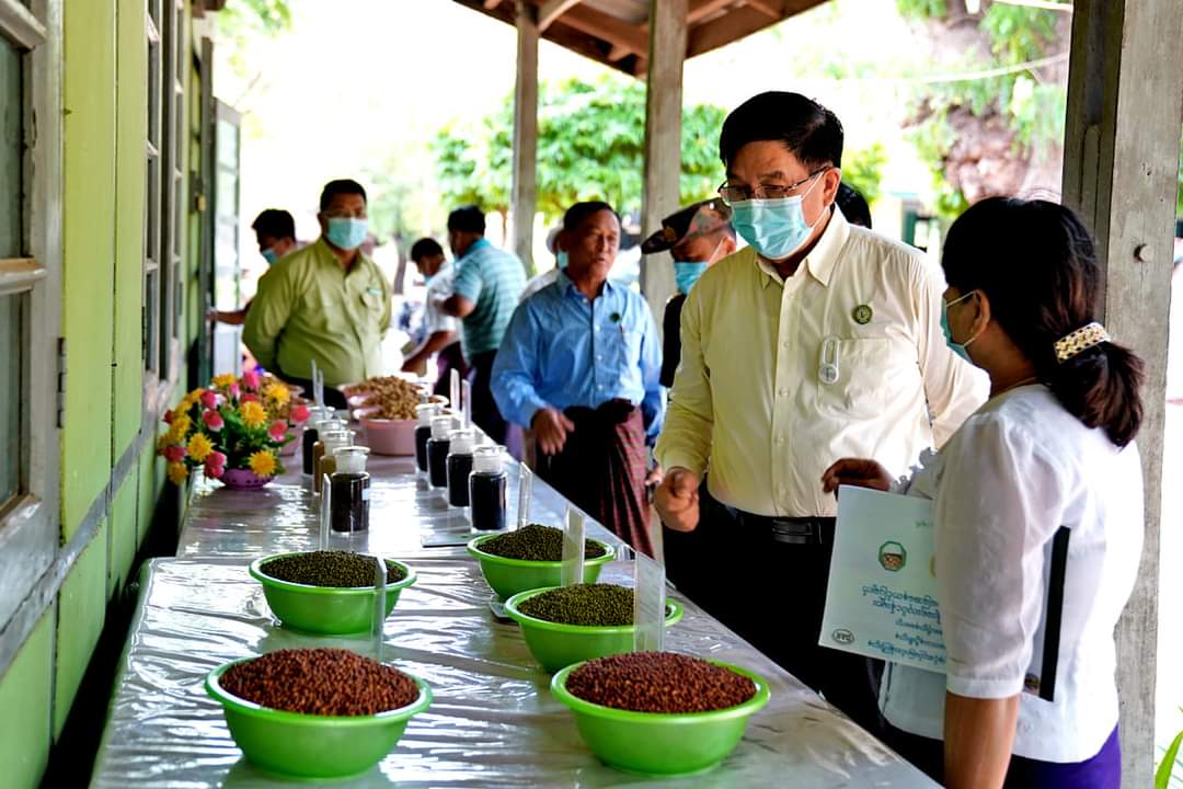 မကွေတိုင်းဒေသကြီးဝန်ကြီးချုပ် ဦးတင့်လွင် ဒေသသုတေသနဗဟိုဌာန(မကွေး) သုတေသနနှင့် ဖွံ့ဖြိုးရေးလုပ်ငန်းများ ကွင်းသရုပ်ပြပွဲ(Field Day Acivity) သို့ တက်ရောက်