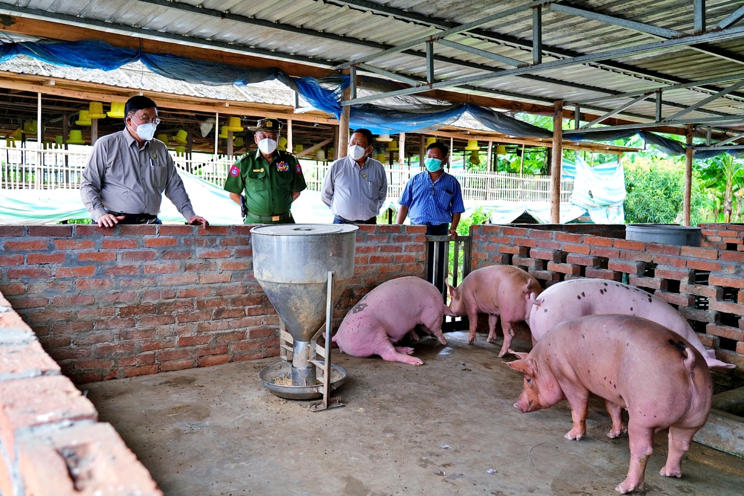 မကွေးတိုင်းဒေသကြီးဝန်ကြီးချုပ် ဦးတင့်လွင် မင်းဘူး(စကု)မြို့နယ်၌ အသားတိုးဝက် မွေးမြူရေးခြံ လုပ်ငန်း (၃)ခု အကောင်အထည်ဖော် ဆောင်ရွက်ထားရှိမှု ကြည့်ရှုစစ်ဆေး