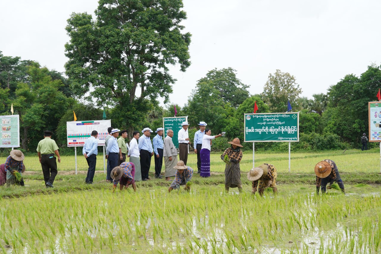 မကွေးတိုင်းဒေသကြီးဝန်ကြီးချုပ် ဦးတင်ကိုကို တောင်တွင်းကြီးမြို့နယ်အတွင်း မိုးစပါးအထွက်တိုး စံပြကွက် စိုက်ပျိုးနေမှုနှင့် ဗိဿနိုးရှေးဟောင်းသုသေတနပြတိုက် ကြည့်ရှု့၊ မကွေးမြို့နယ်၊ ရွာသာ ကျေးရွာအနီးရှိ ရွာသာမြေသားကန်ပြုပြင်ခြင်းလုပ်ငန်း ကြည့်ရှုစစ်ဆေး